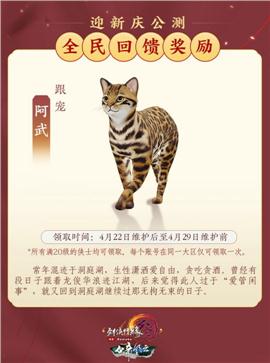 天龙八部私服没按钮